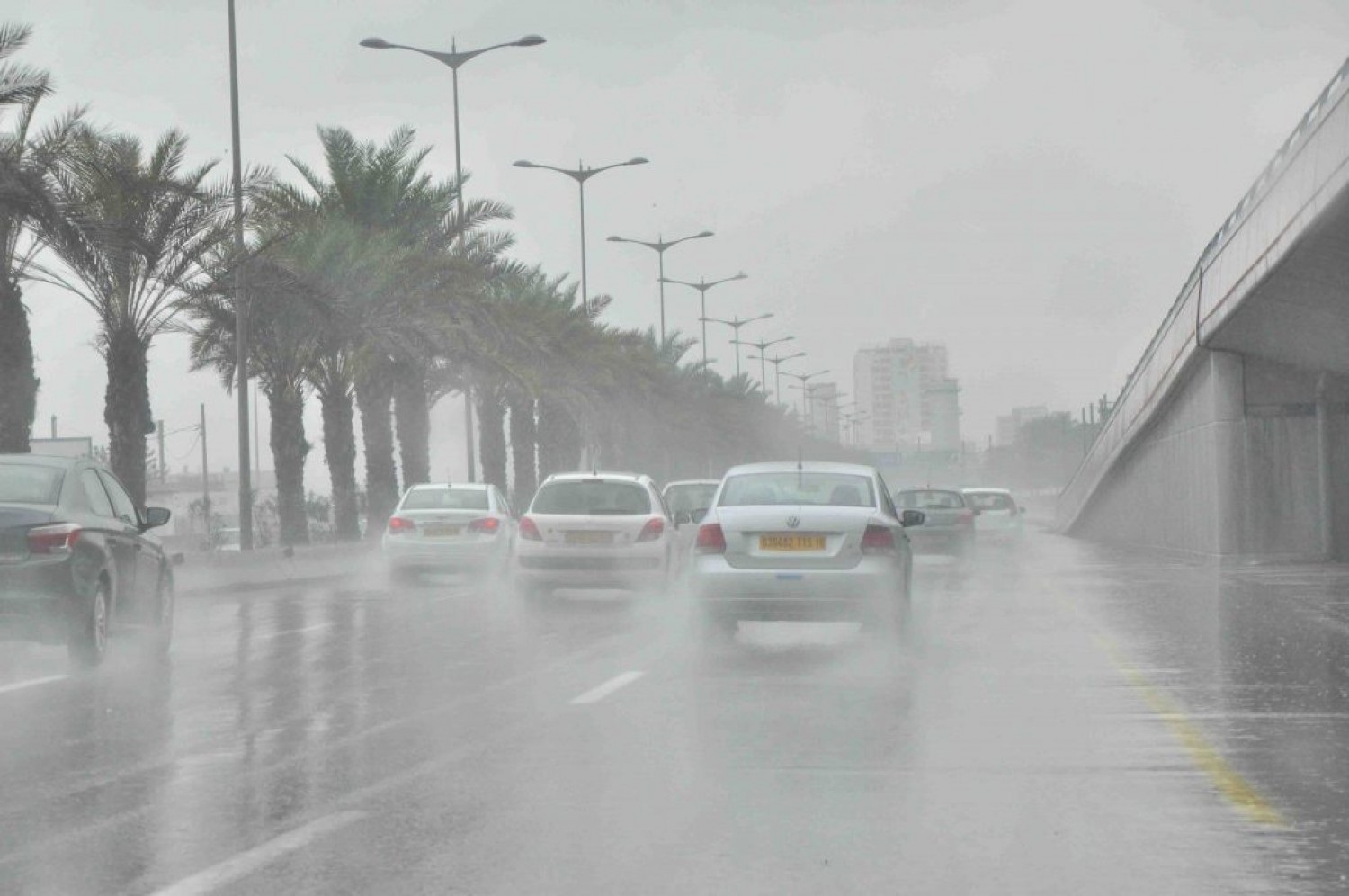 «طقس الغد الجمعة» يشهد عواصف شديدة وأمطار غزيرة تصل إلى سيول على تلك المناطق