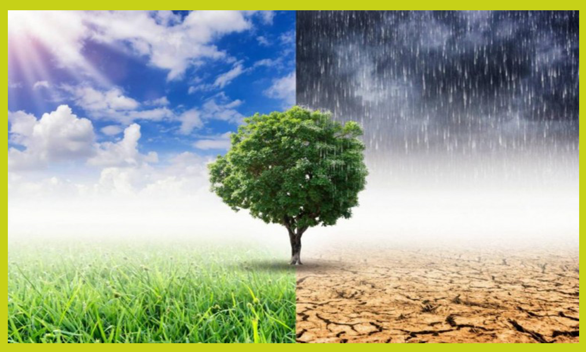 مشروع بحث عن البيئة الصف الاول الاعدادي