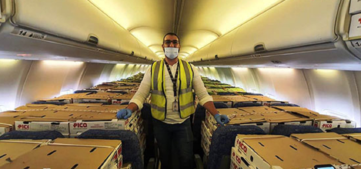 نقل شحنة أسماك وفواكه من مطار القاهرة إلي عمان في مقصورة طائرة ركاب 