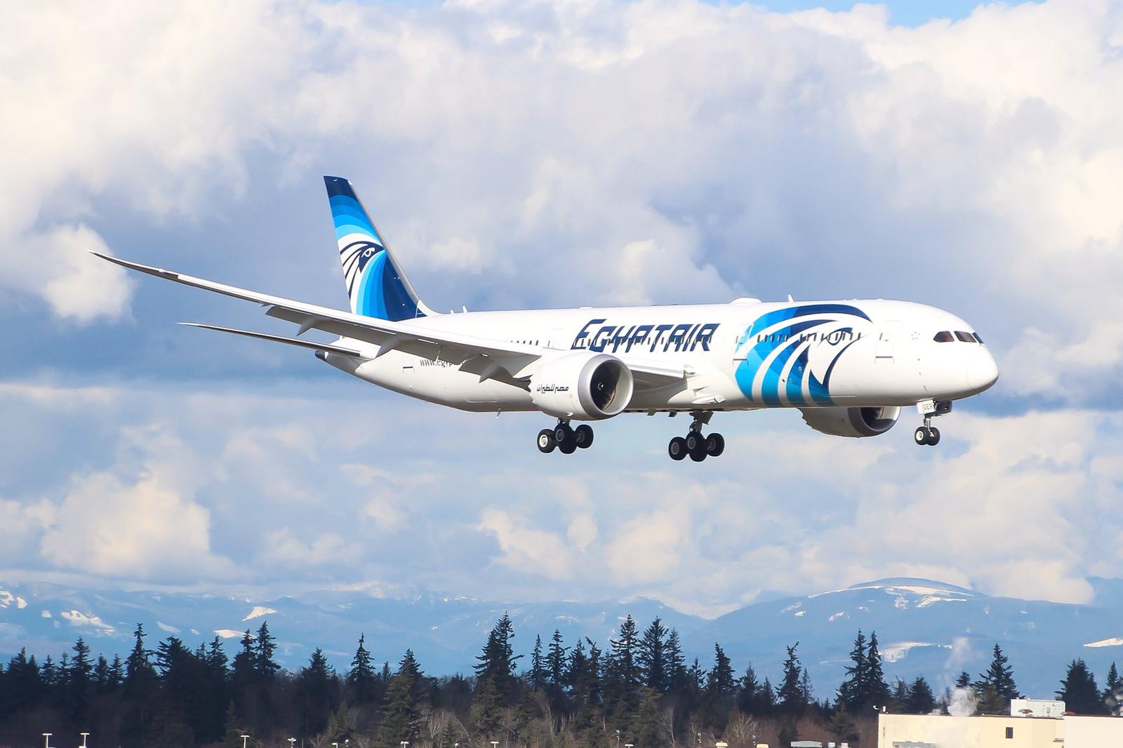 EgyptAir lists 3 flights for Egyptians stranded abroad