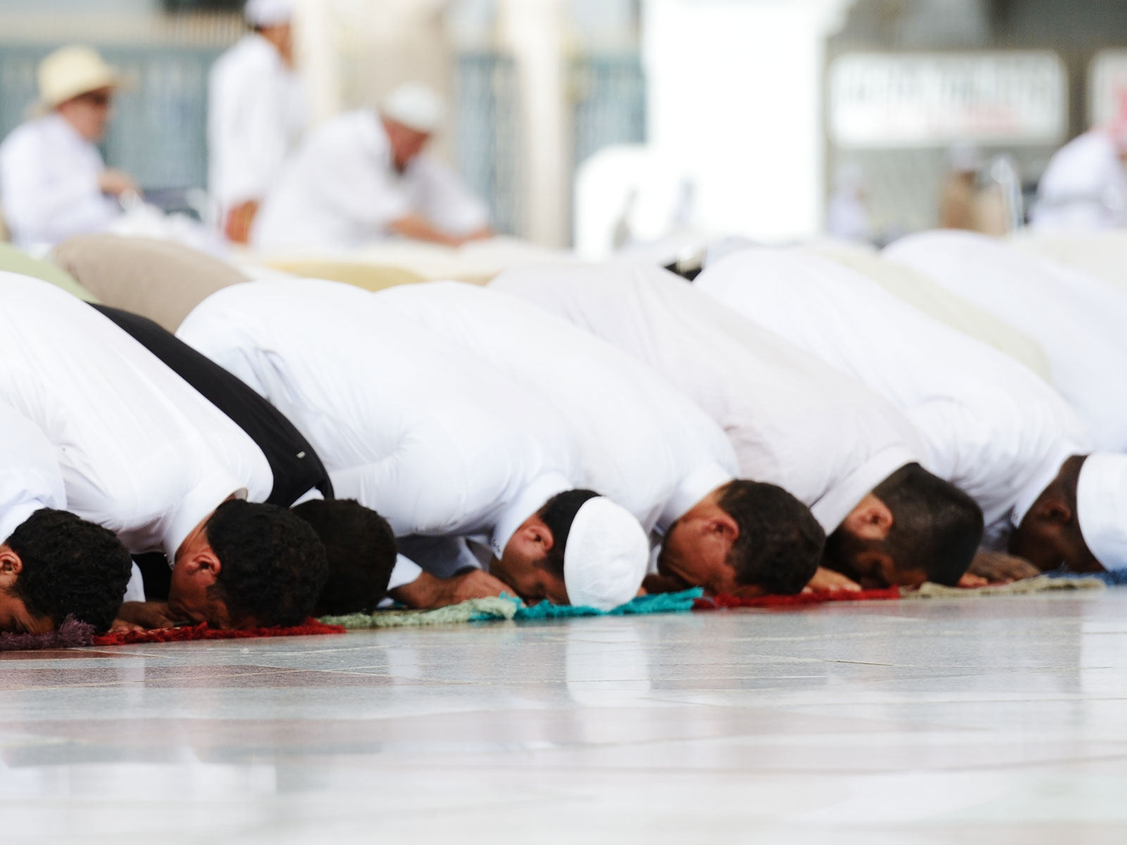 وزير الأوقاف يوضح حقيقة فتح المساجد لأداء صلاة التراويح