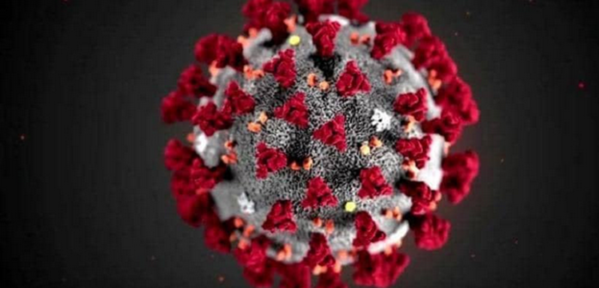 أول دولة عربية تُعلن خلوها من فيروس كورونا بعد شفاء المصابين