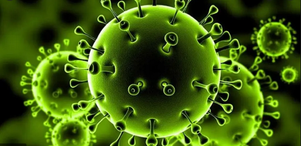أول دولة عربية تُعلن خلوها من فيروس كورونا بعد شفاء المصابين