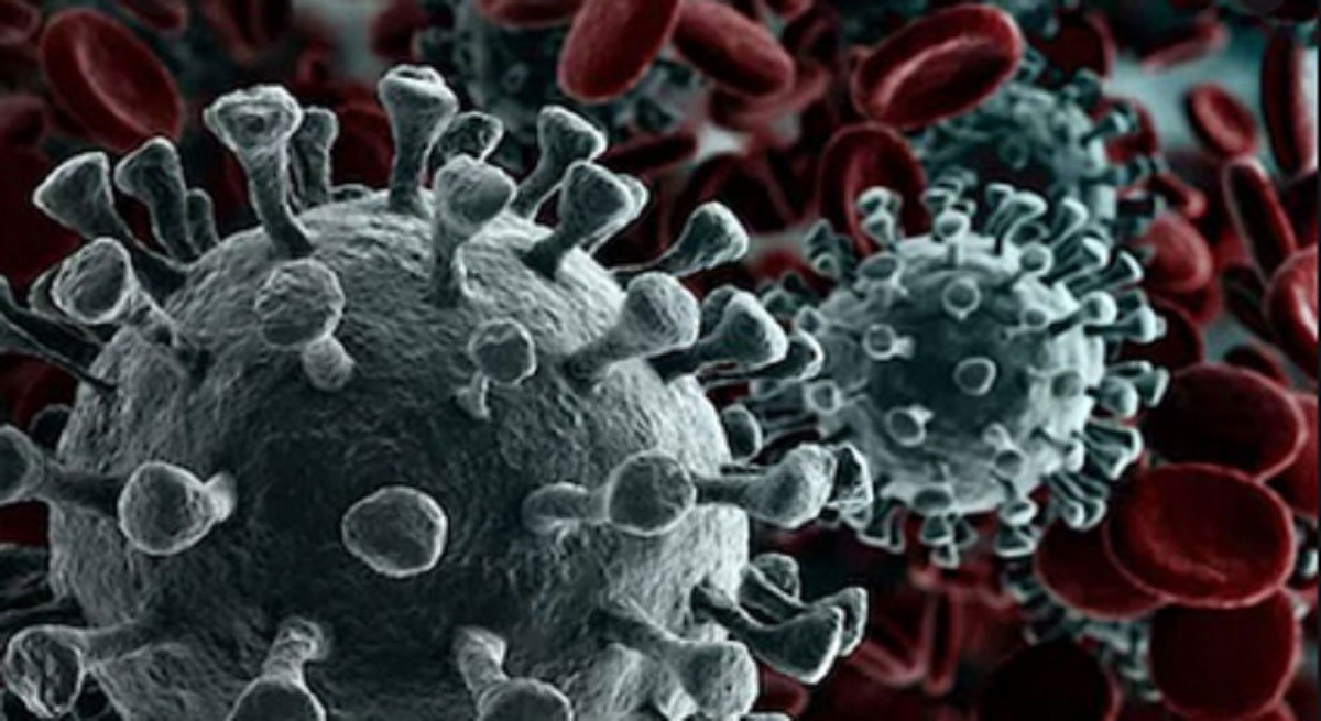 الصحة :تسجيل 783 حالة جديدة مصابة بفيروس كورونا و 11 حالة وفاة وبيان بالتفاصيل
