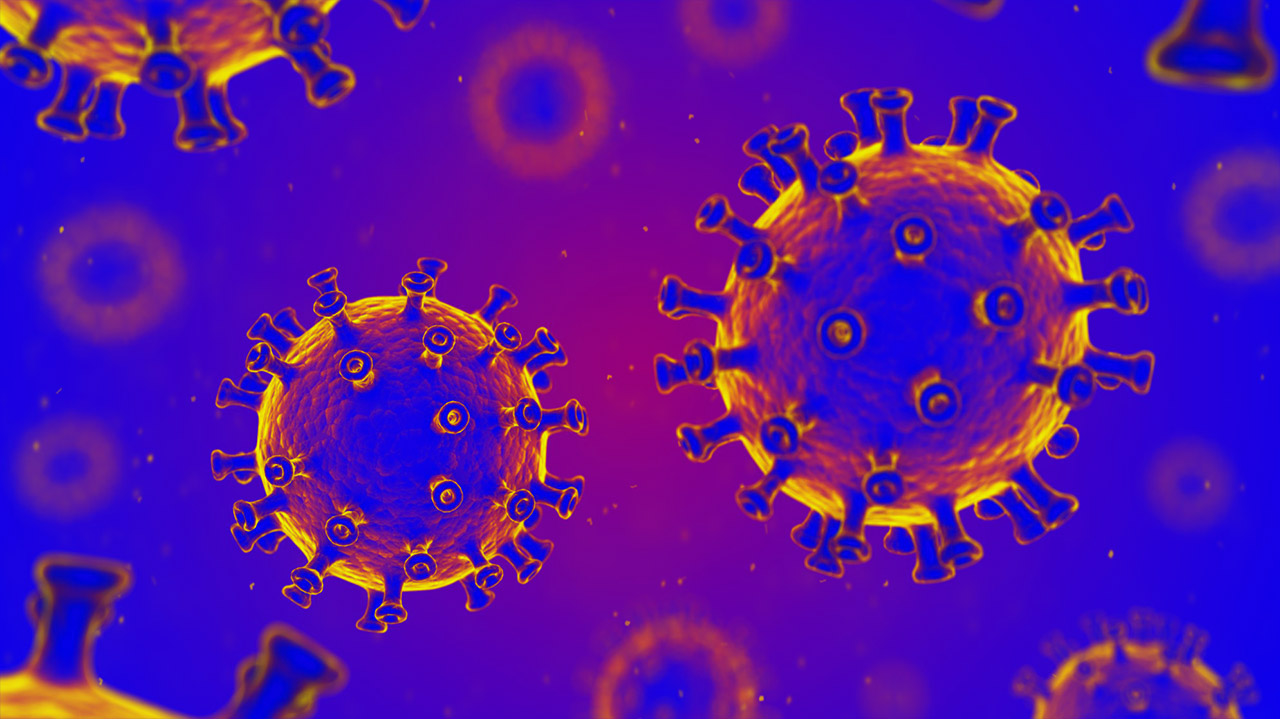 بالفيديو أستاذ المناعة يؤكد أن منحنى أعداد الإصابة بفيروس كورونا المستجد سيزيد الفترة القادمة