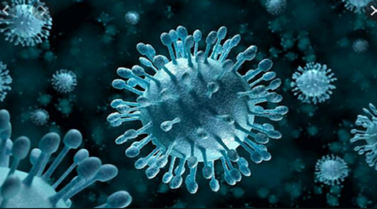 الصحة: تسجيل 272 إصابة جديدة بفيروس كورونا و14 حالة وفاة..وبيان بالتفاصيل