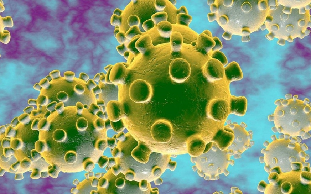 تحذيرات بشأن فيروس كورونا والالتزام بالاجراءات الاحترازية