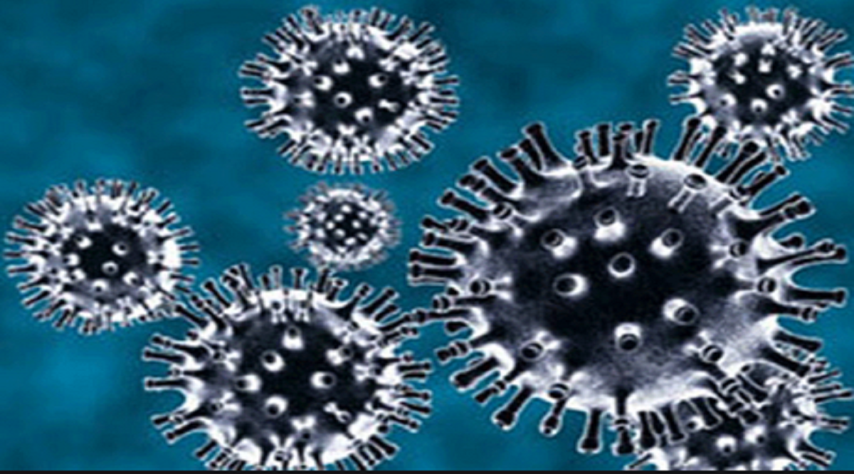 الصحة: تسجيل 1079 حالة جديدة مصابة بفيروس كورونا و 36 حالة وفاة وبيان بالتفاصيل 1