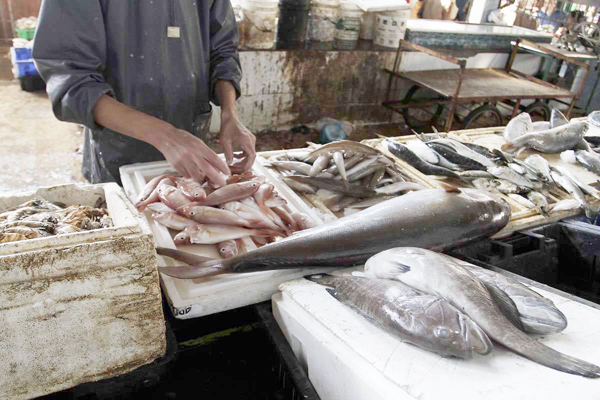 حقيقة إصابة الأسماك في مصر بالفيروسات بعد تفشي الموجه الثانية لكورونا بالصين بسبب السمك وتحذيرات من المجمدات