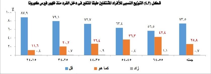 تأثير كورونا على المصريين..«الإحصاء»: 50% من الأسر تقوم بالاقتراض و17% تعتمد على مساعدات أهل الخير 5