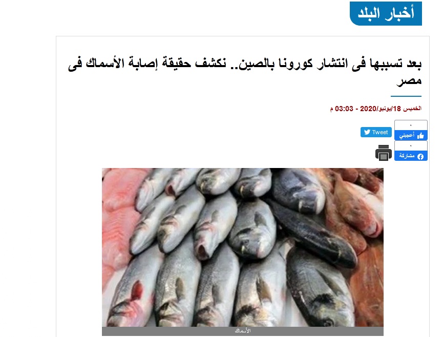 حقيقة إصابة الأسماك في مصر بالفيروسات بعد تفشي الموجه الثانية لكورونا بالصين بسبب السمك وتحذيرات من المجمدات 1