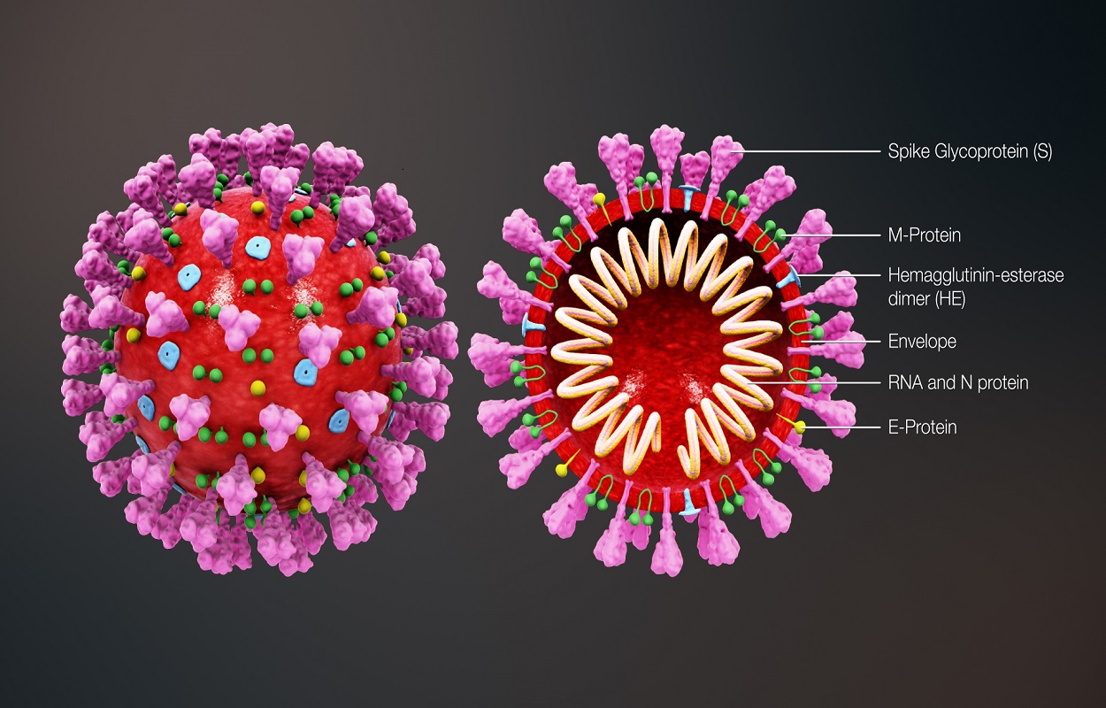 دراسة جديدة: أعراض فيروس كورونا يمكن أن تظهر قبل السعال والحمى