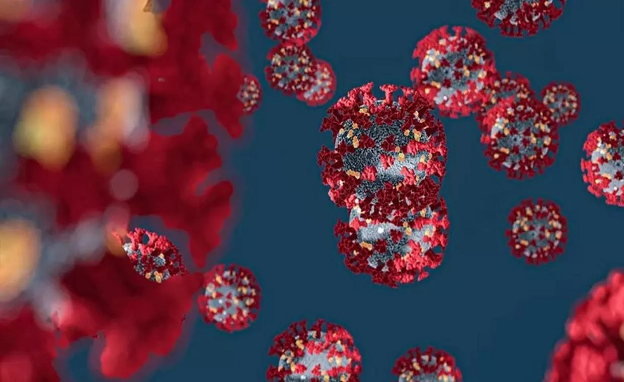 لجنة مكافحة فيروس كورونا في مصر تكشف عن موعد انخفاض الإصابات بالفيروس الخطير