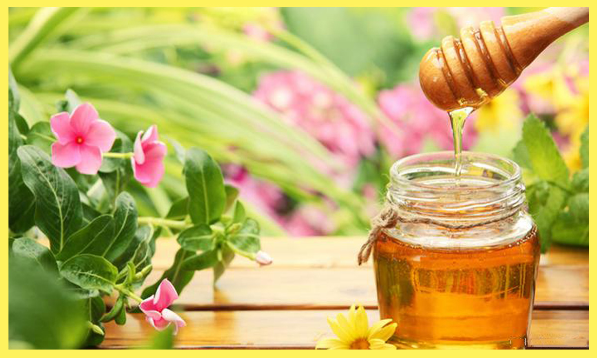 مواصفات العسل الاصلي النقي واختبارات لمعرفة الأصلي من المغشوش