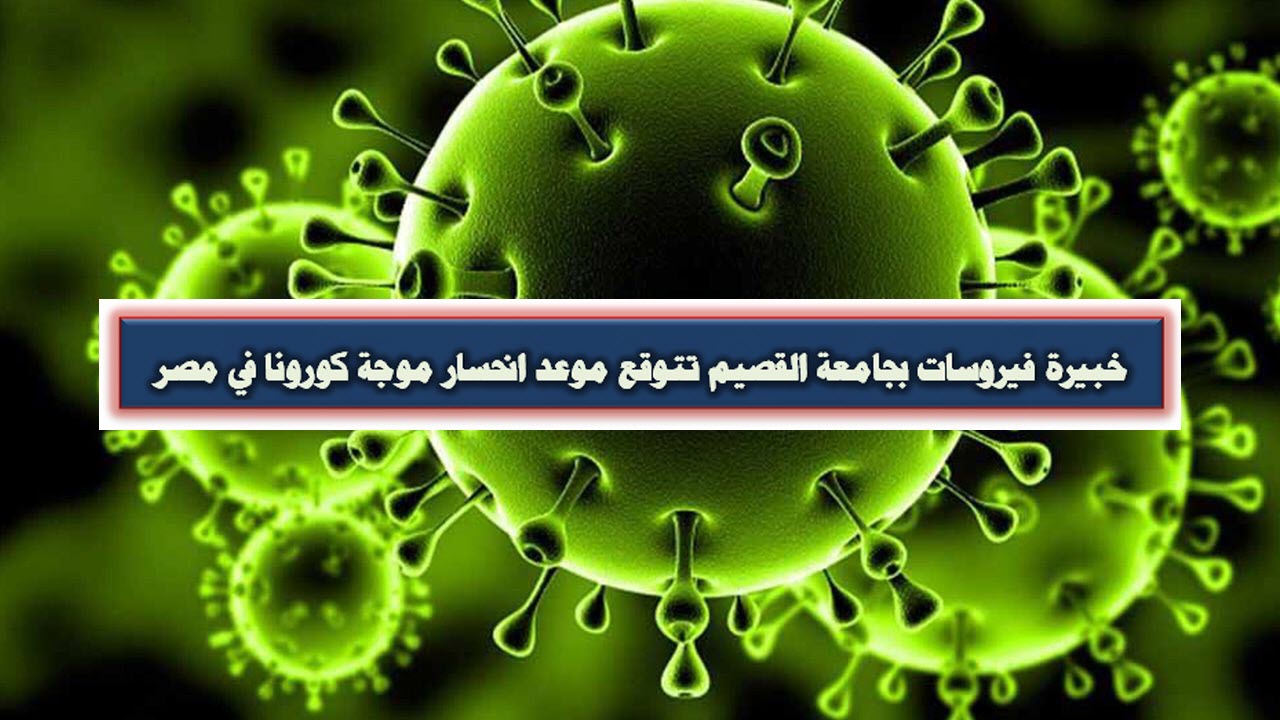 خبيرة فيروسات بجامعة القصيم تتوقع موعد انحسار موجة كورونا في مصر