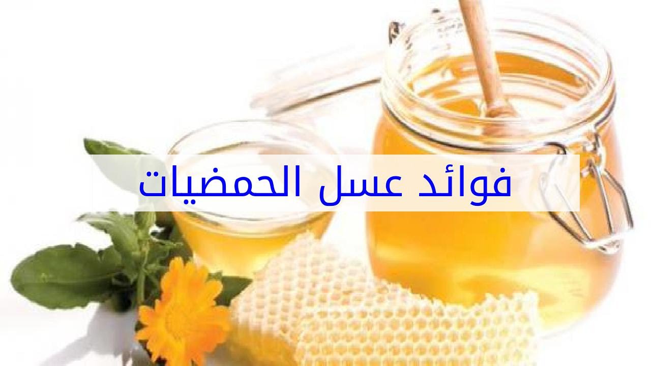 فوائد عسل الموالح وأهم مميزاته الرائعة للإنسان