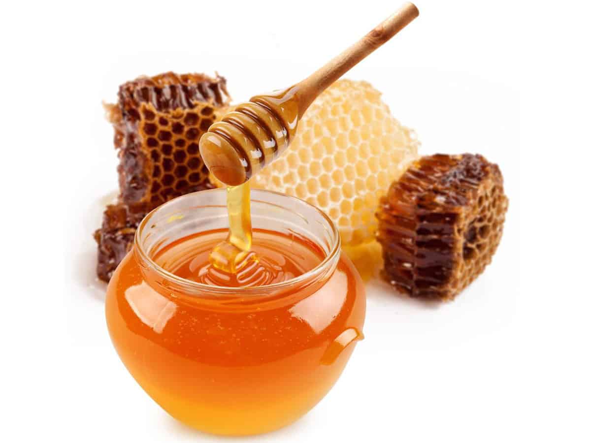 فوائد عسل الموالح وأهم مميزاته للإنسان