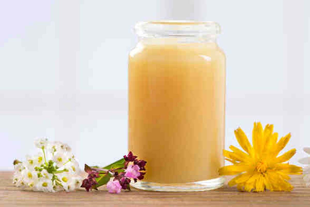 فوائد عسل غذاء ملكات النحل واستخداماته العلاجية المذهلة