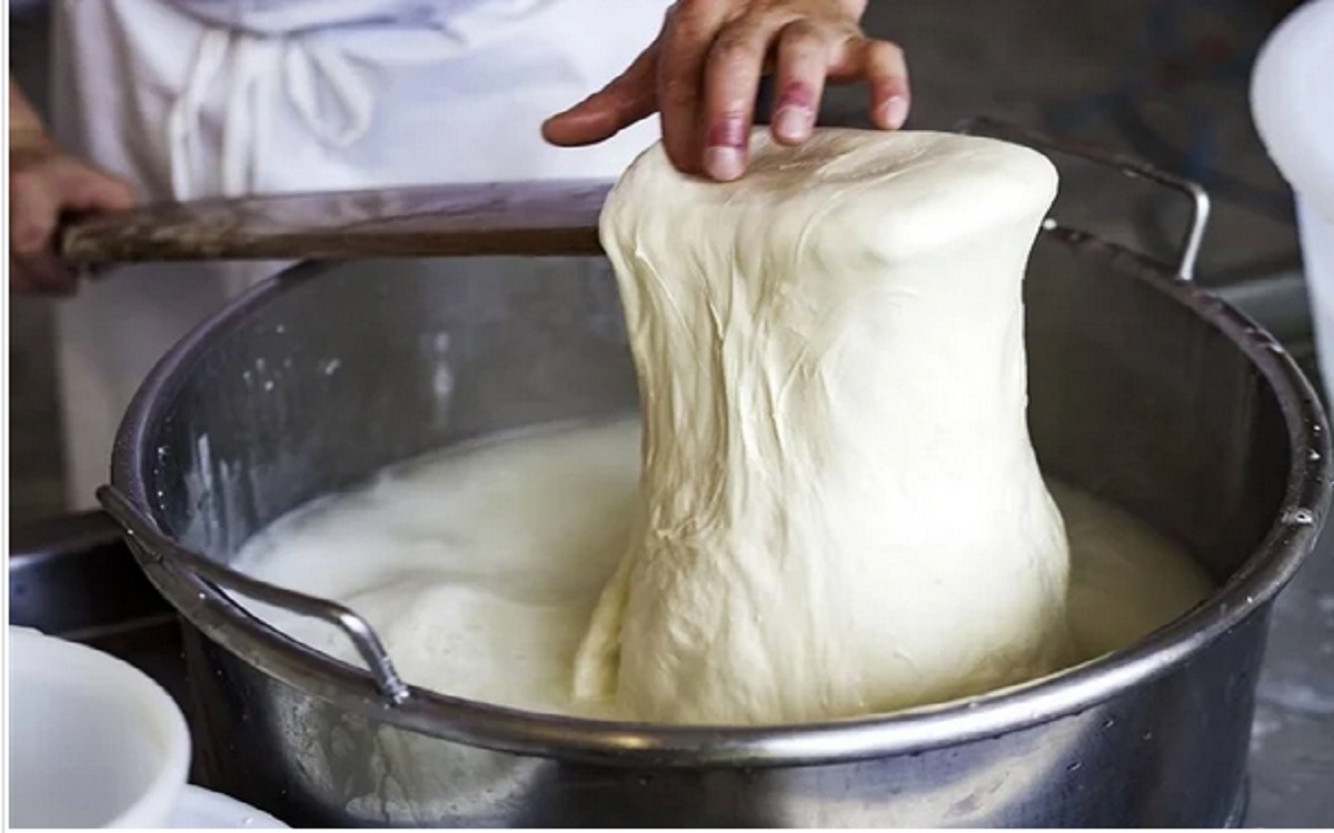 طريقة عمل الجبنة الموتزاريلا في المنزل بمكونات سهلة وخطوات بسيطة