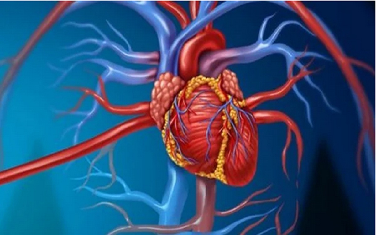 لمرضى القلب..5 أطعمة للوقاية من أمراض القلب