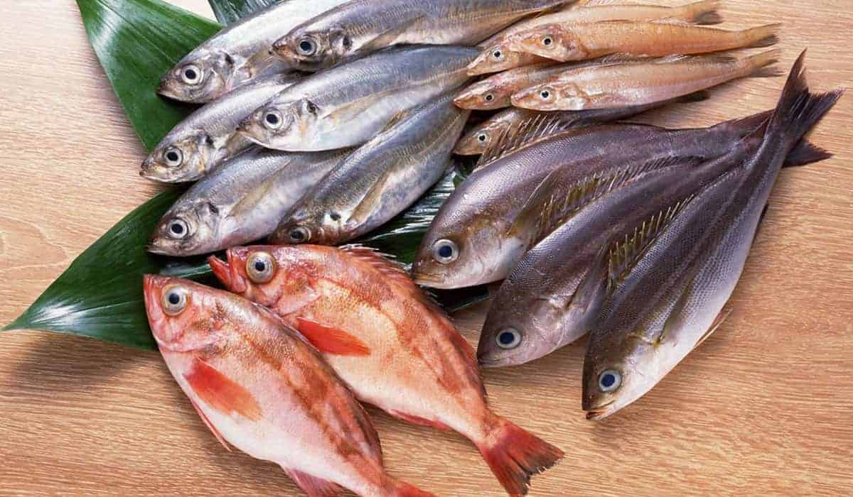 أسعار اللحوم والدواجن والأسماك اليوم فى الأسواق 6