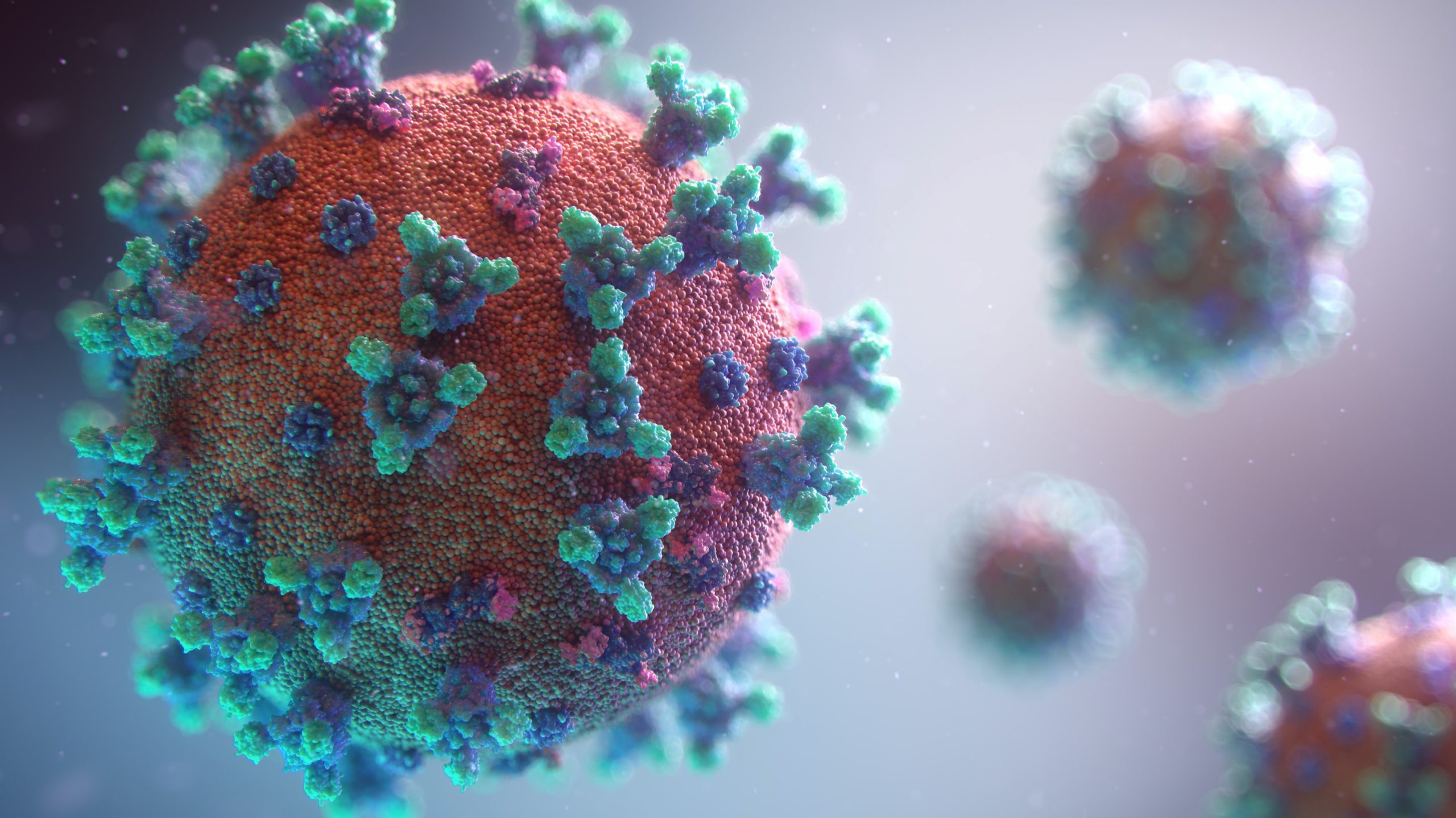 وزارة الصحة: ​​معدل الشفاء من فيروس كورونا يصل إلى 93.3٪ 4