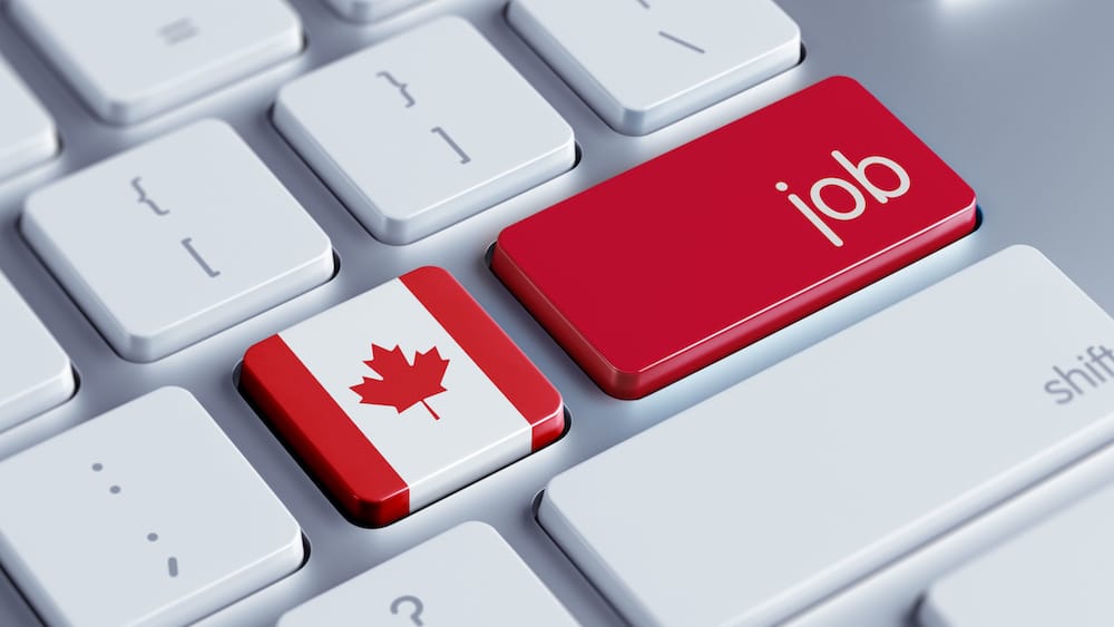أفضل 10 وظائف مطلوبة في كندا بأجور عالية 7