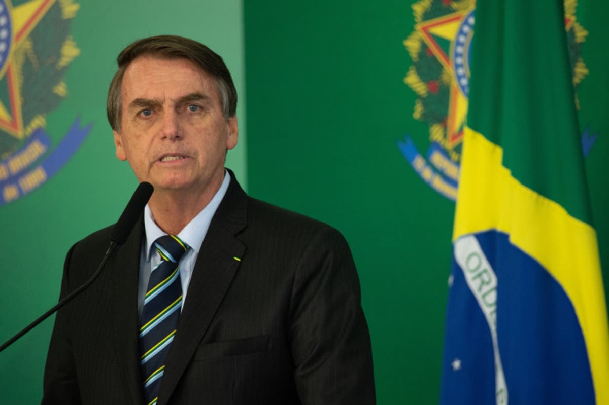 رئيس البرازيل يحذر من لقاح فايزر "ممكن ينبت لحية للمرأة ويحول الرجل لتمساح" وفايزر تخلي مسؤوليتها 8