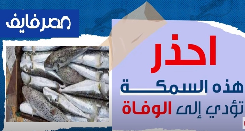 القومي لعلوم البحار يحذر من أسماك سامة منتشرة بالأسواق والسمكة الواحد سمها يقتل 25 شخص وكيفية معرفتها 9
