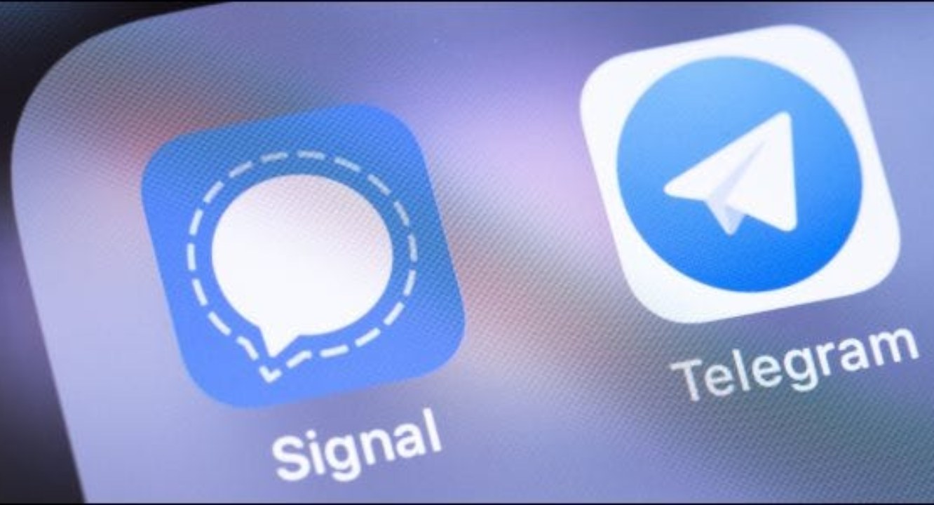 Signal و Telegram أيهما أفضل تطبيق دردشة؟