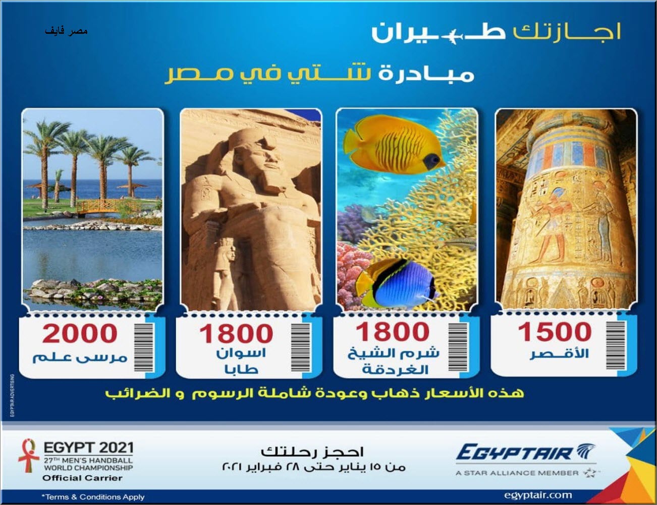 مصر للطيران تعلن عن تخفيض أسعار التذاكر بنسبة 20 % والرحلة تبدأ من 1500 جنيه 5