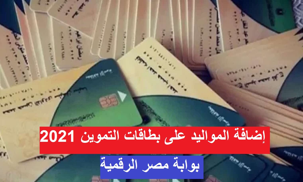بوابة مصر الرقمية لإضافة المواليد الجدد 2021 على بطاقة التموين والفئات الأربعة المستحقة للإضافة