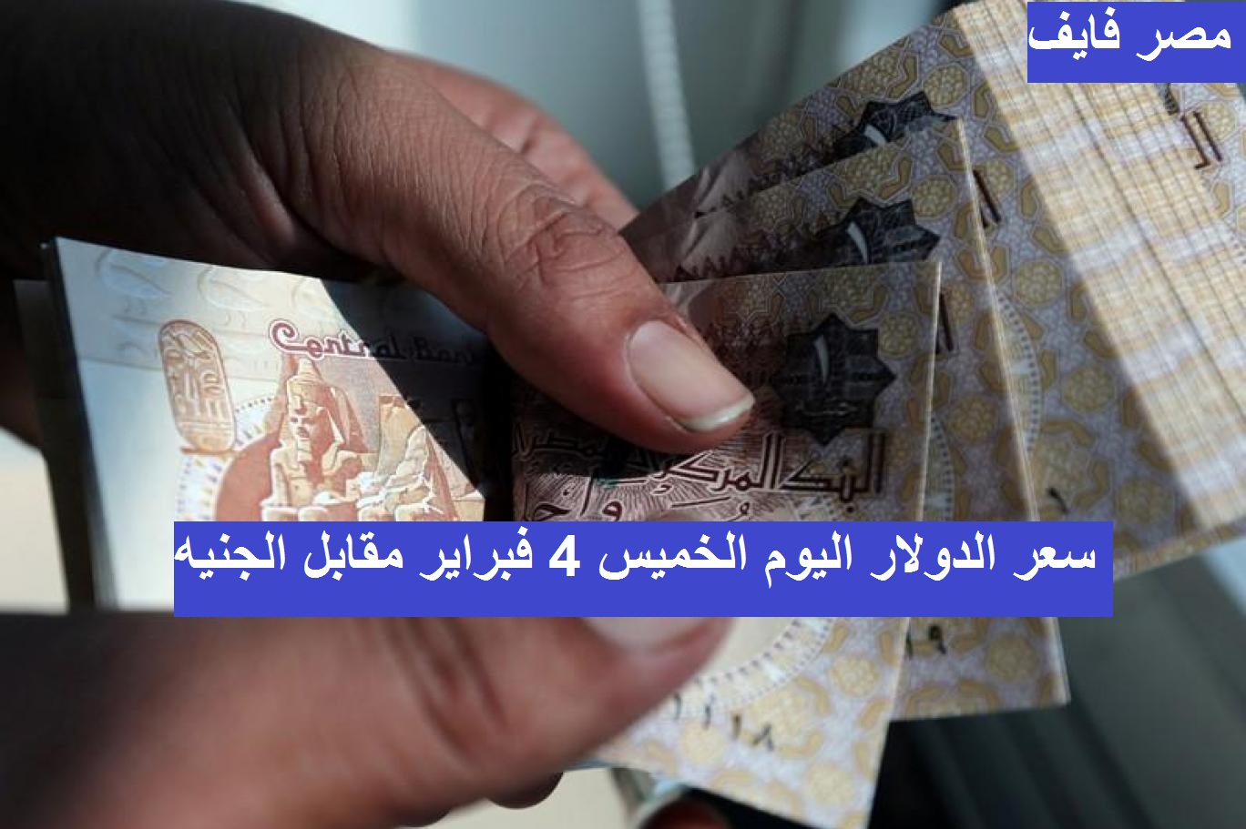 سعر الدولار اليوم في مصر 4 فبراير 2021 وتوقعات أسعار العملة الخضراء الأيام المقبلة