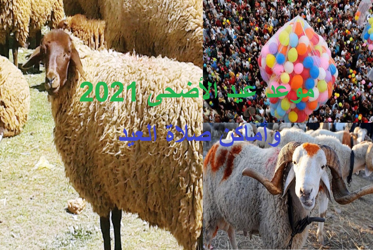 موعد عيد الأضحى 2021 في مصر والسعودية والأماكن المسموح والمحظور فيها صلاة العيد
