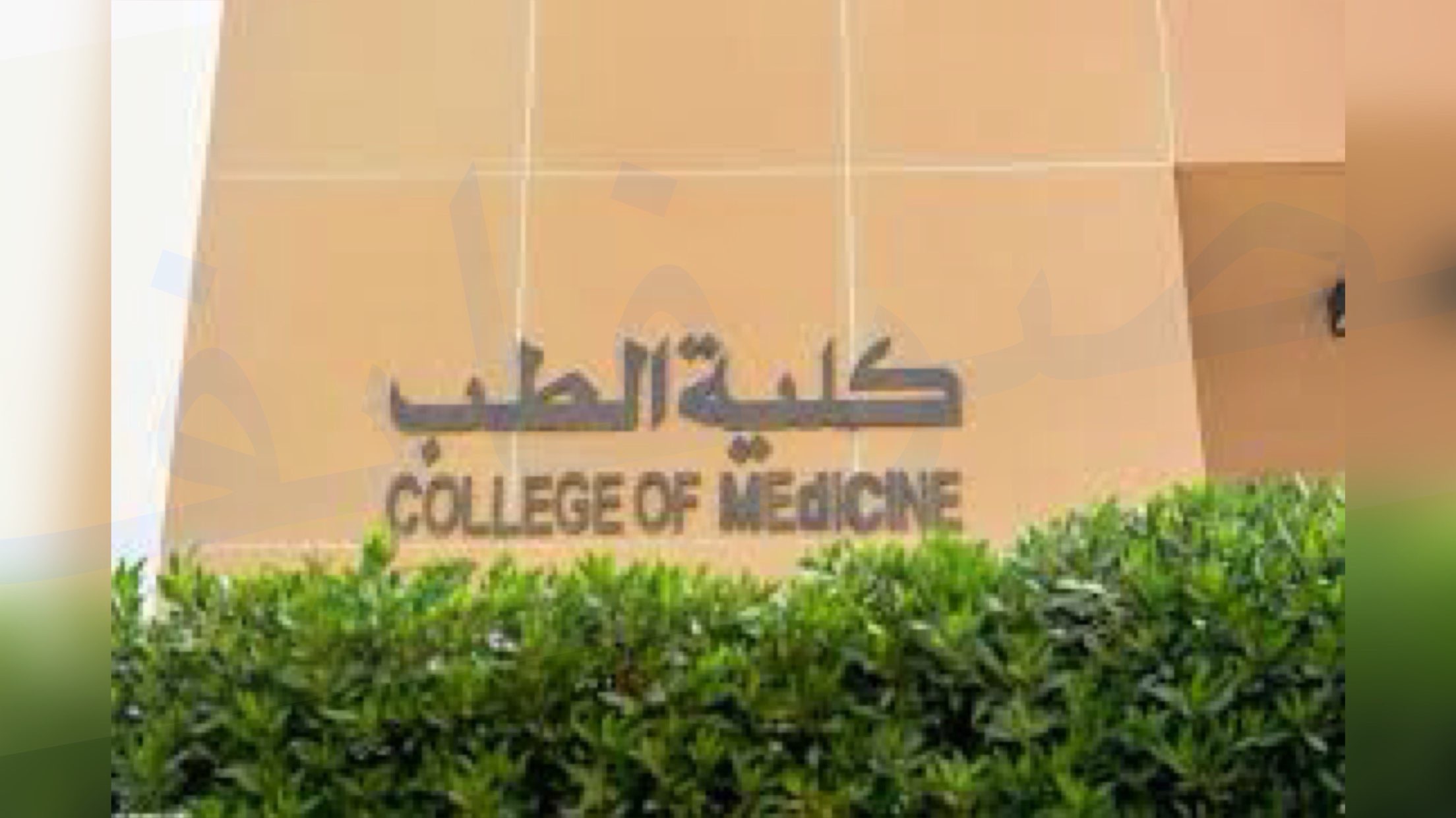 تنسيق كلية الطب 2021 رسميا عقب مؤتمر إعلان نتيجة المرحلة الأولى