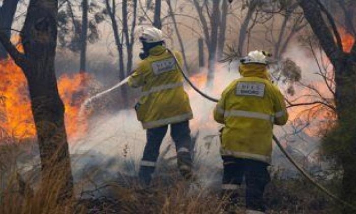 الحرائق في الجزائر أتت على حوالي 20 ألف هكتار من الغابات بولاية تيزي وزو 1