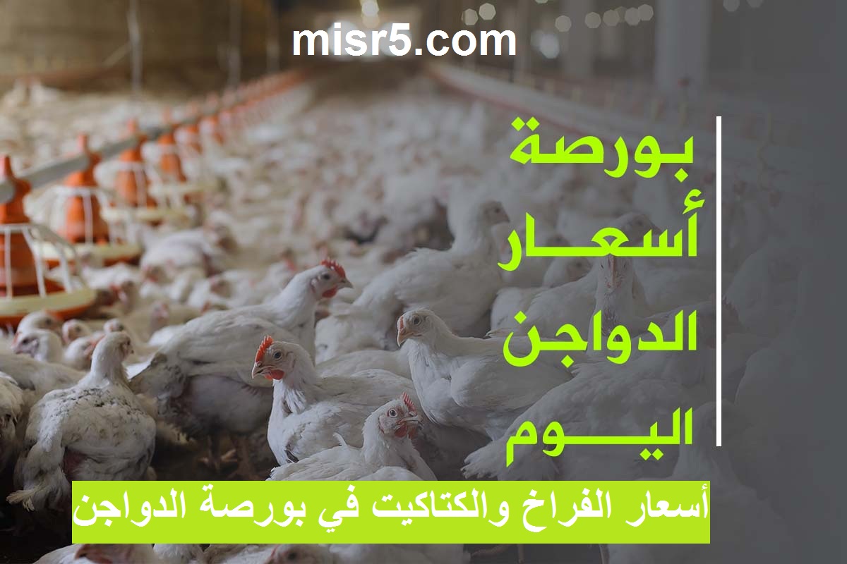 بورصة الدواجن: سعر الفراخ اليوم 27 أكتوبر وسعر الكتكوت الأبيض والبيض 1