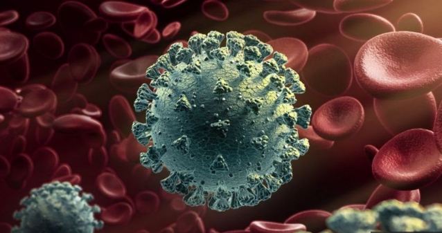 أهم ثلاثة أكاذيب وخرافات مرتبطة بفيروس كورونا المستجد كوفيد 19 1
