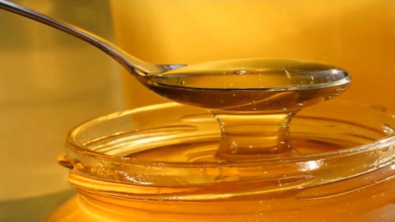 تعرف على أهم فوائد العسل الملكي وعسل المونكا
