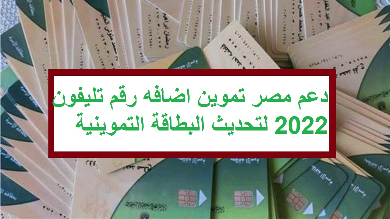 دعم مصر تموين اضافه رقم تليفون 2022 لتحديث البطاقة التموينية