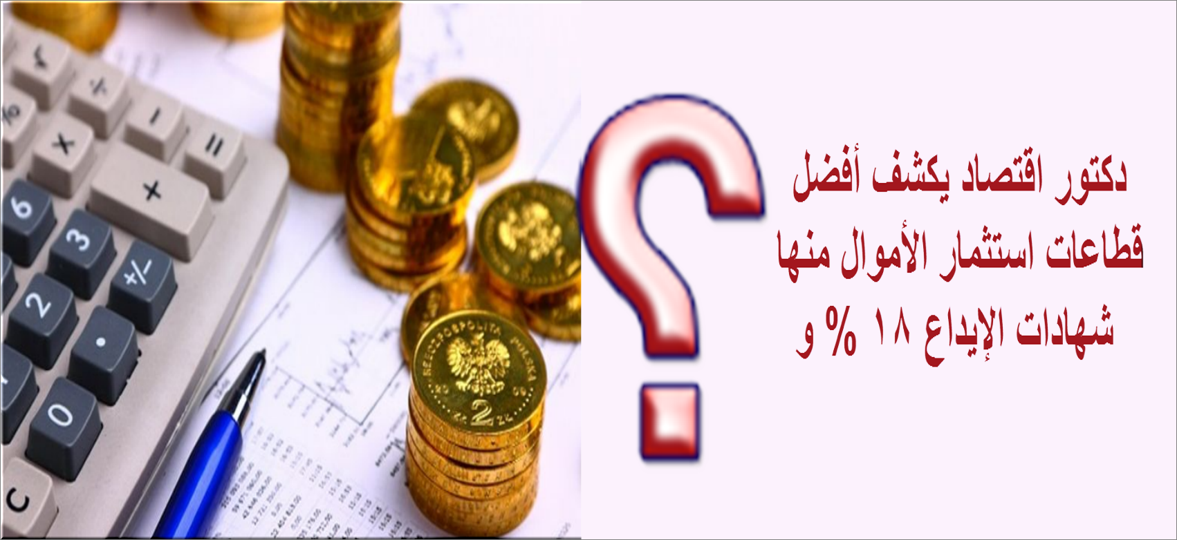 أستاذ اقتصاد يكشف أفضل قطاعات استثمار الأموال بجانب شهادات 18 %