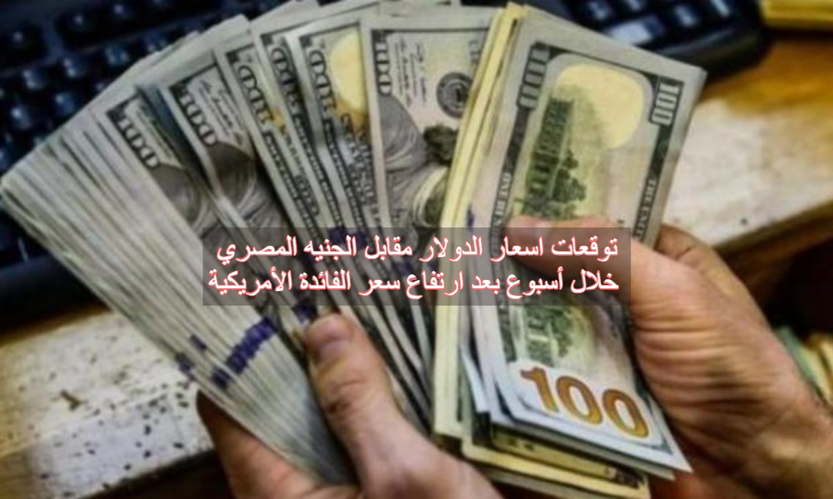 توقعات اسعار الدولار مقابل الجنيه المصري خلال أسبوع بعد ارتفاع سعر الفائدة الأمريكية