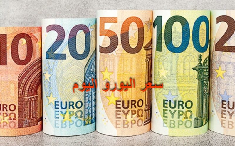 أسعار اليورو اليوم الخميس 25 إبريل 2024