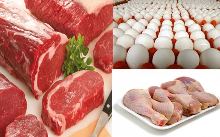أسعار الدواجن واللحوم والبيض اليوم الخميس 01-09-2022 بالأسواق المصرية وفقا لآخر تحديث