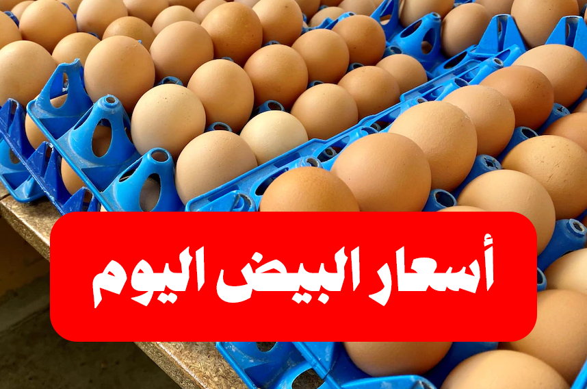 أسعار البيض في مصر اليوم الخميس 11 أغسطس 2022