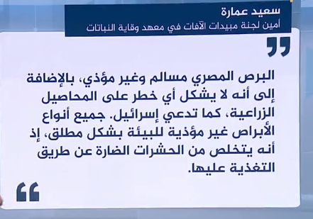 وسم البرص المصري يتصدر توتير بعد غزو المحاصيل في إسرائيل ووزارة الزارعة المصرية ترد 2