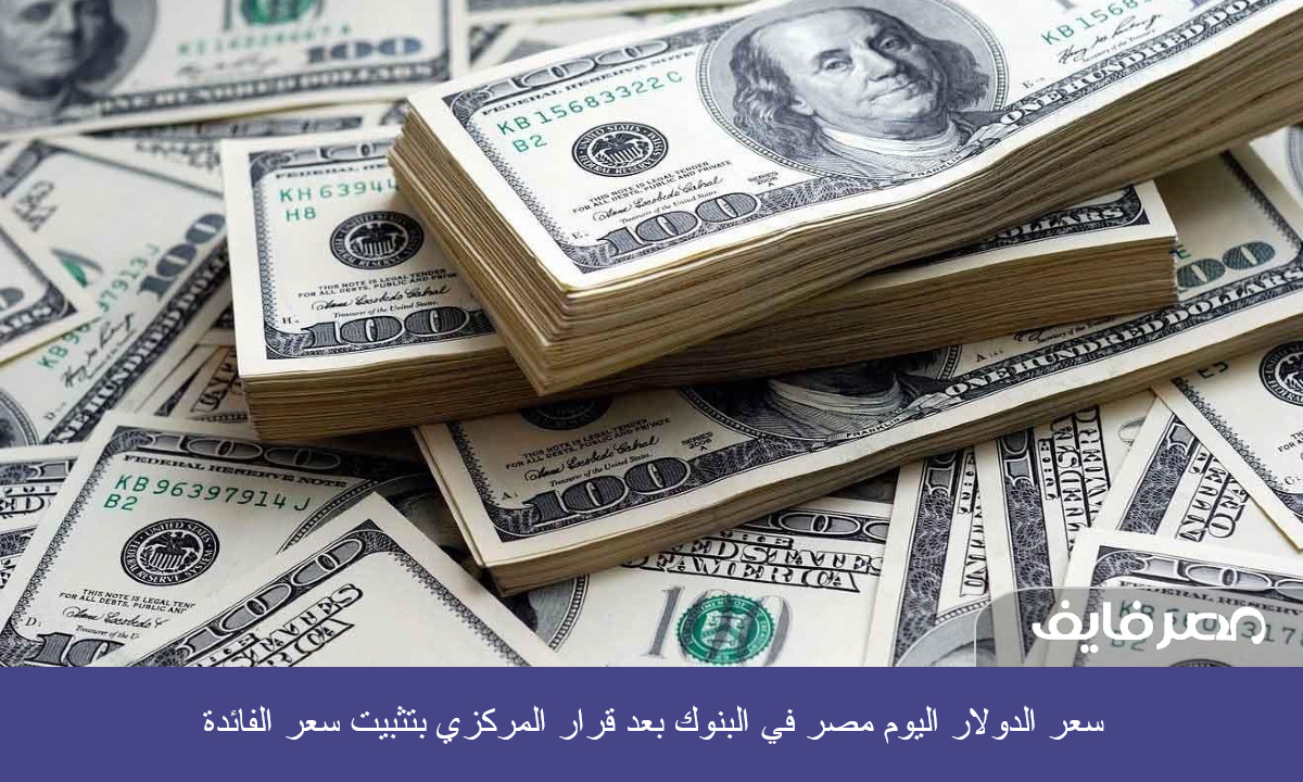 سعر الدولار اليوم مصر في البنوك بعد قرار المركزي بتثبيت سعر الفائدة