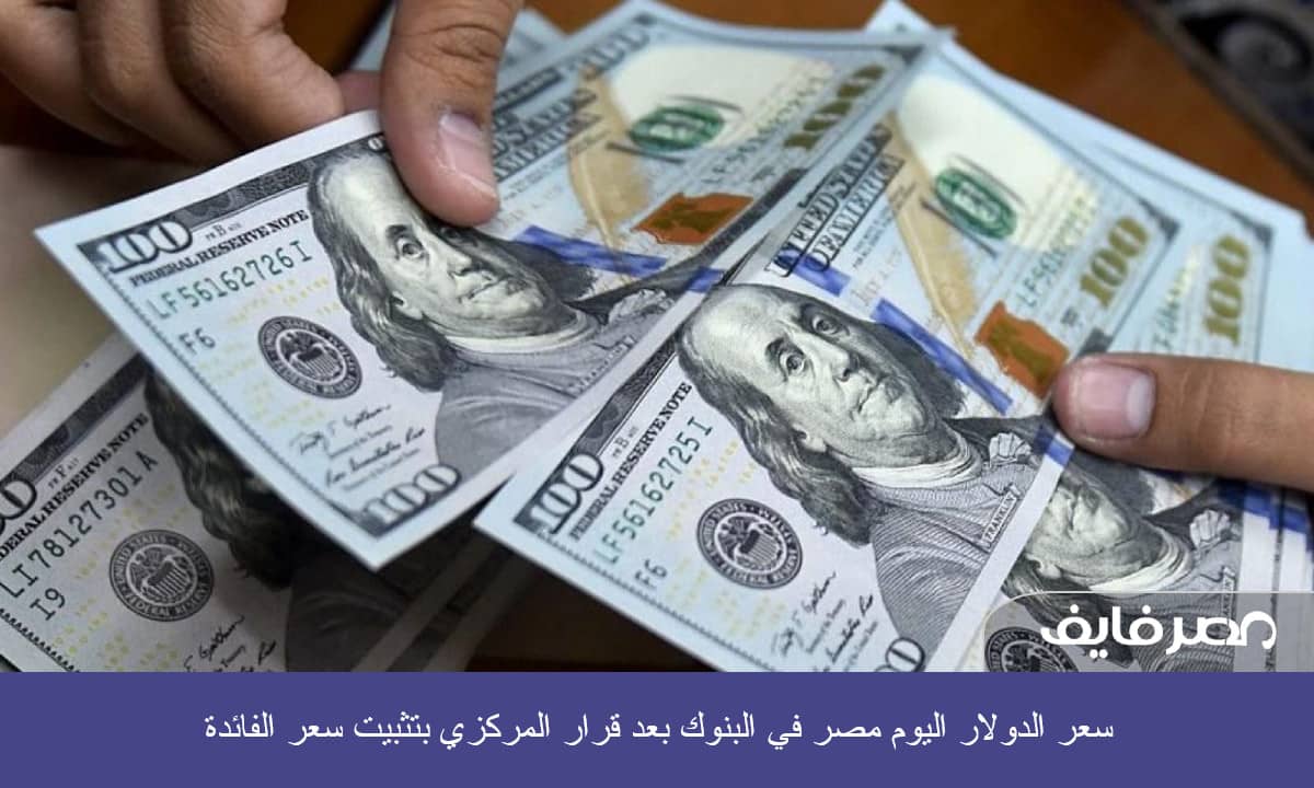 سعر الدولار اليوم مصر في البنوك بعد قرار المركزي بتثبيت سعر الفائدة