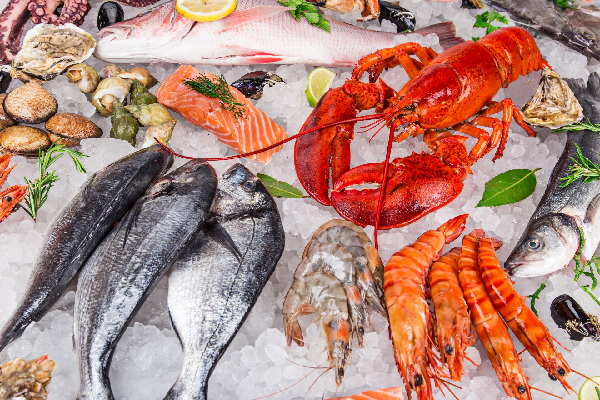 أسعار الأسماك والجمبري والسبيط والكابوريا اليوم الإثنين 10 أكتوبر في سوق العبور