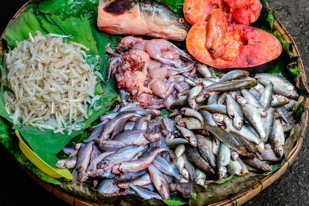 أسعار السمك والجمبري والكابوريا والكاليماري في سوق العبور اليوم سمك طازه بأقل سعر